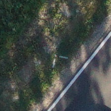 Target_15
